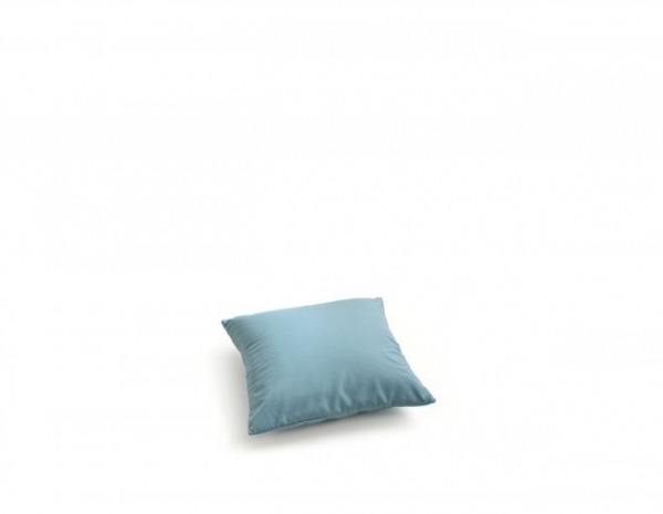 Cuscino imbottito